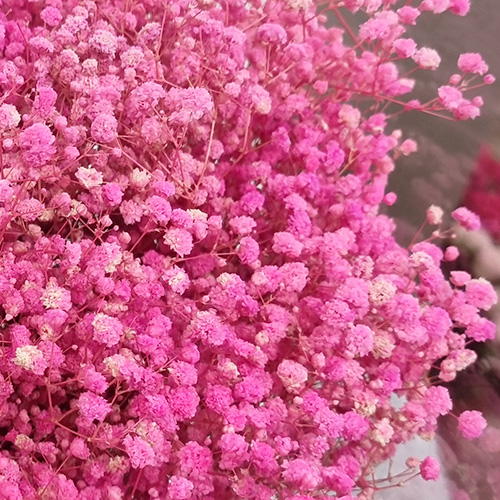 프리저브드 안개 핑크 (중국 약300g)